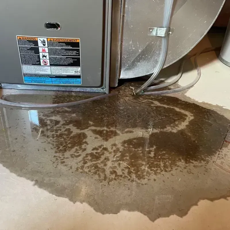 Appliance Leak Cleanup in Wyoming, IL